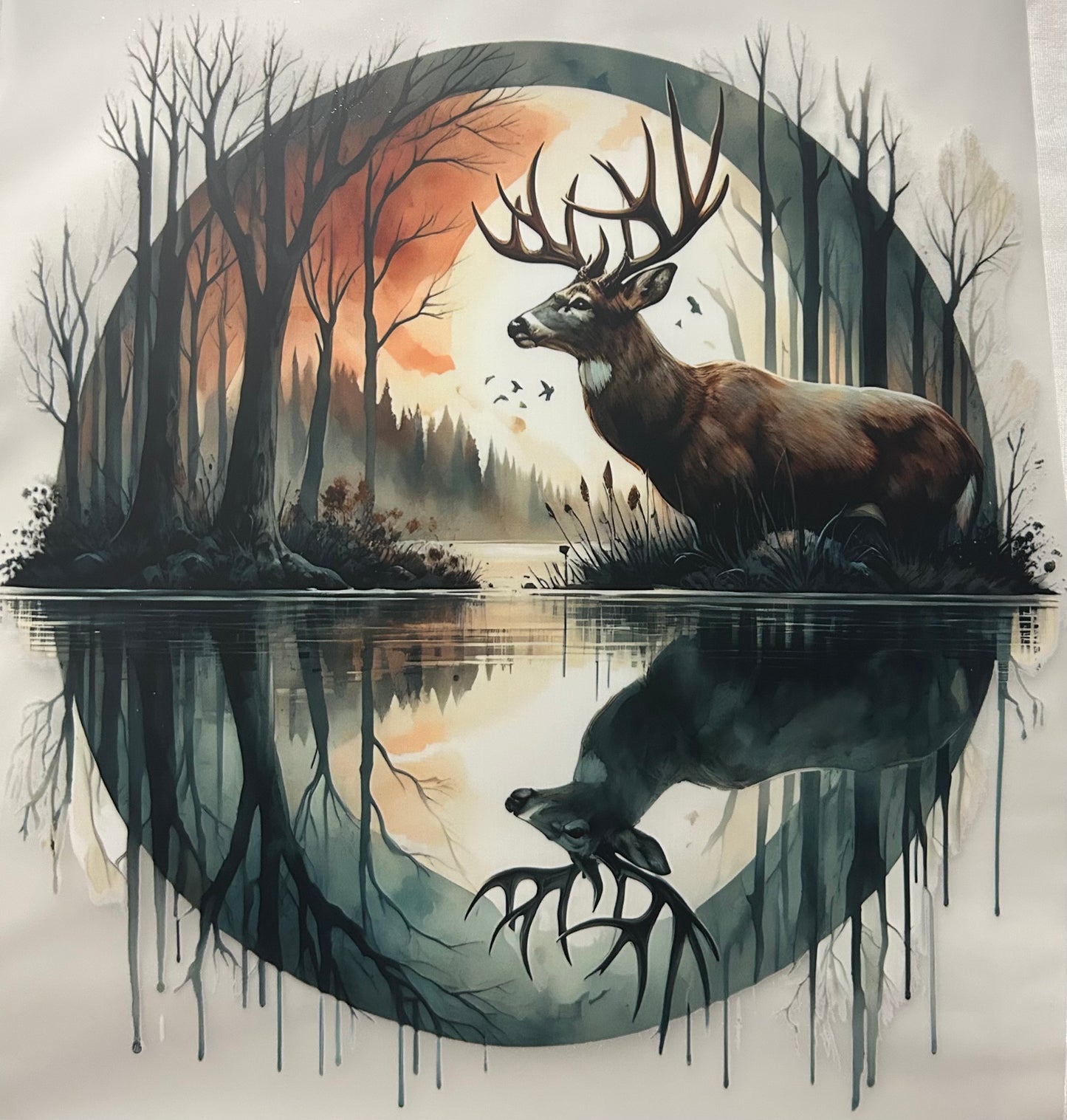 Western Designs S-2XL