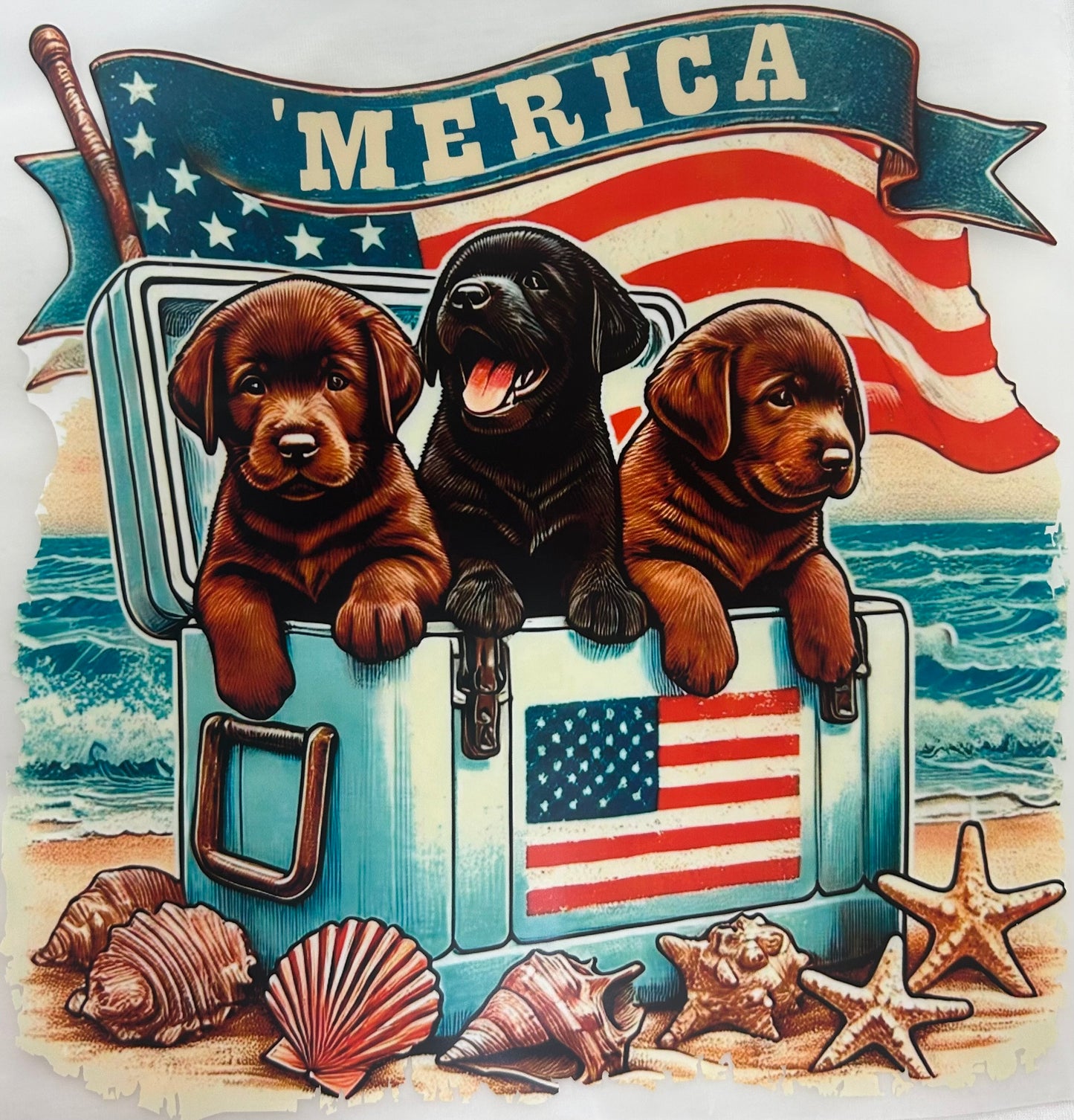 4th of July/USA Designs S-2Xl